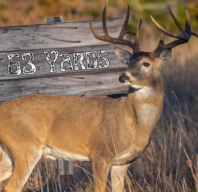 Lightweight Arrows for Hunting and Total Archery Challenge