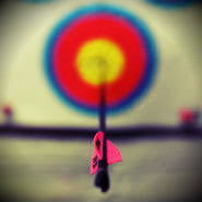 Feathers vs. vanes: Here's what you need to know