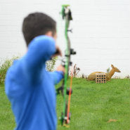 Choosing a backyard target