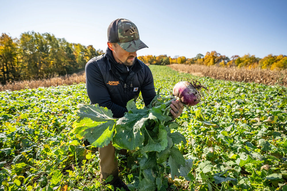 Planting Successful Food Plots
