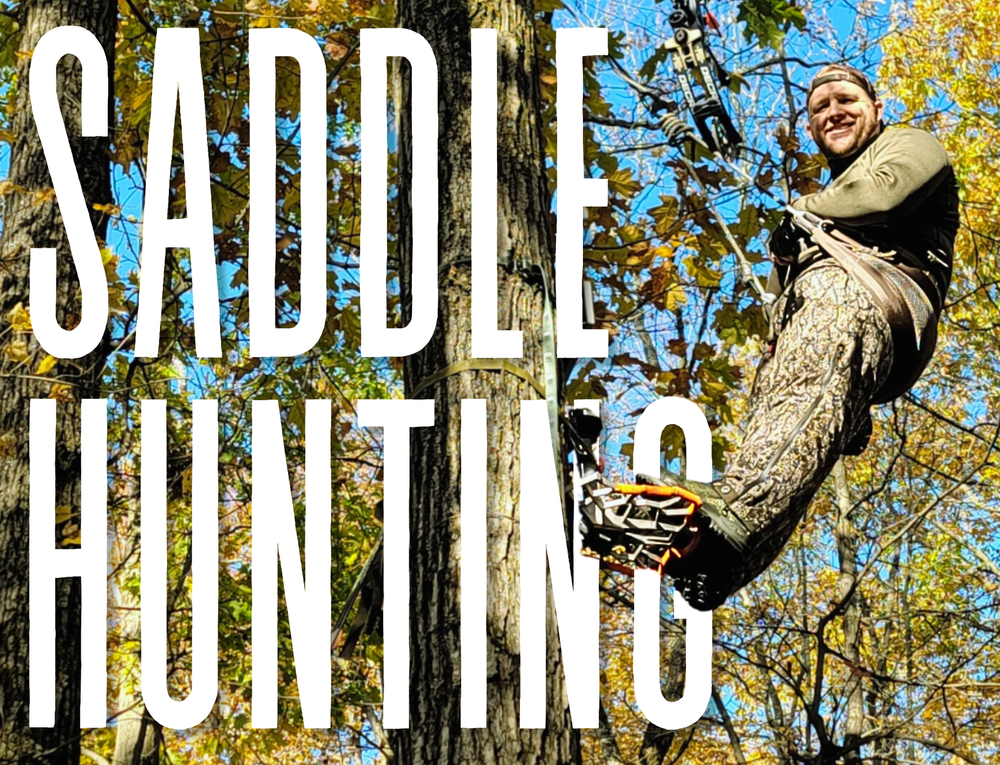 Saddle Hunting: Everything You Need to Know