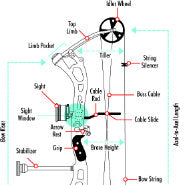 A basic guide to the parts of a bow
