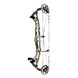 Hoyt Highline Compound Hunting Bow