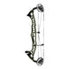 Hoyt Highline Compound Hunting Bow