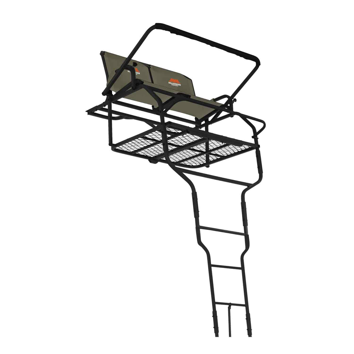 12 Foot Ladder - Website Hunt