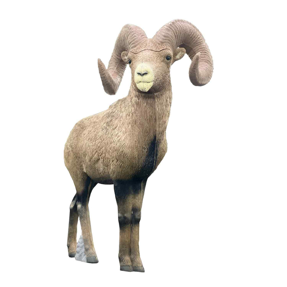 Rinehart Big Horn Sheep Target