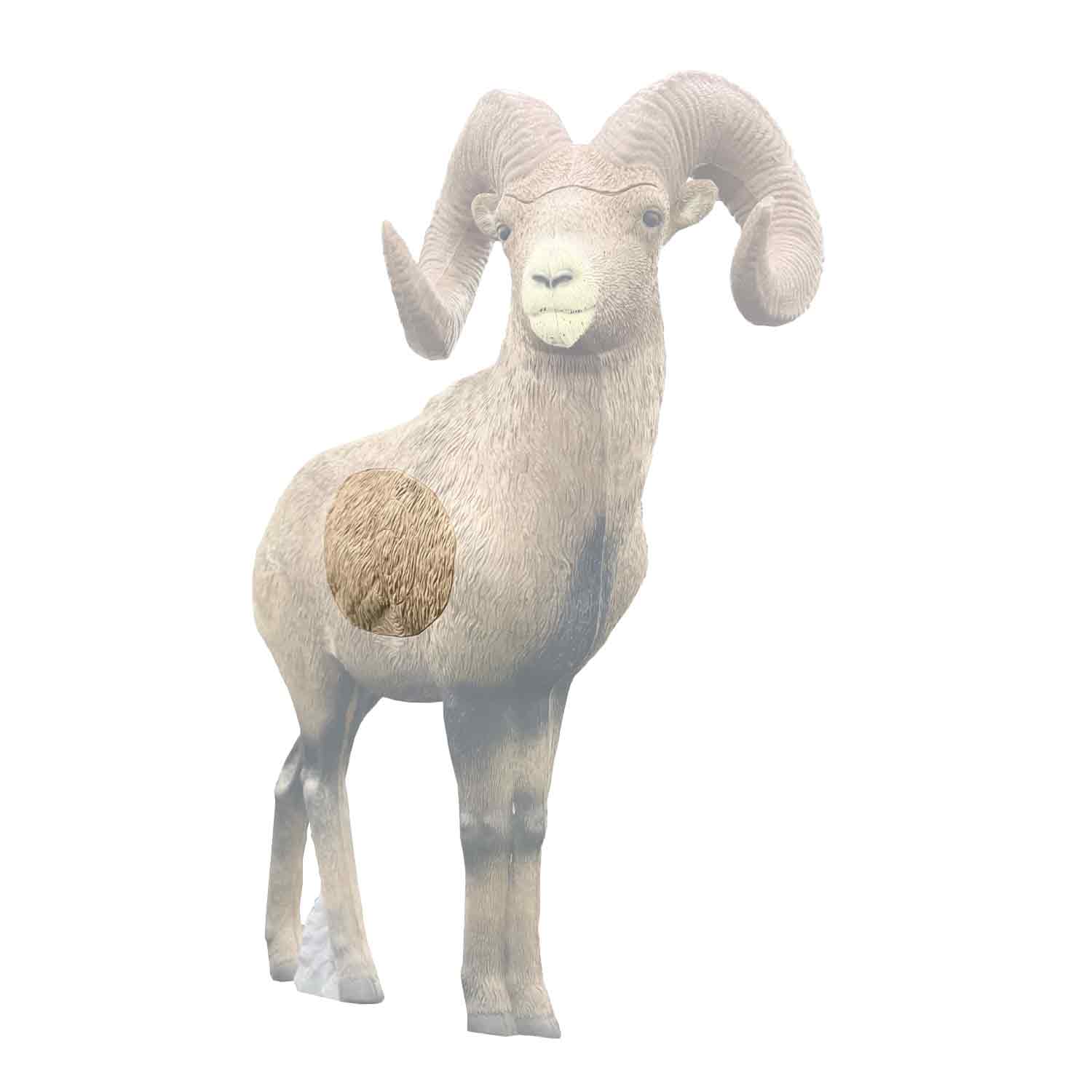 Rinehart Big Horn Sheep Insert