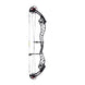 Bowtech Reckoning 39 Gen2 Compound Target Bow (Long Cam)