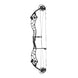 Bowtech Reckoning 39 Gen2 Compound Target Bow (Medium Cam)