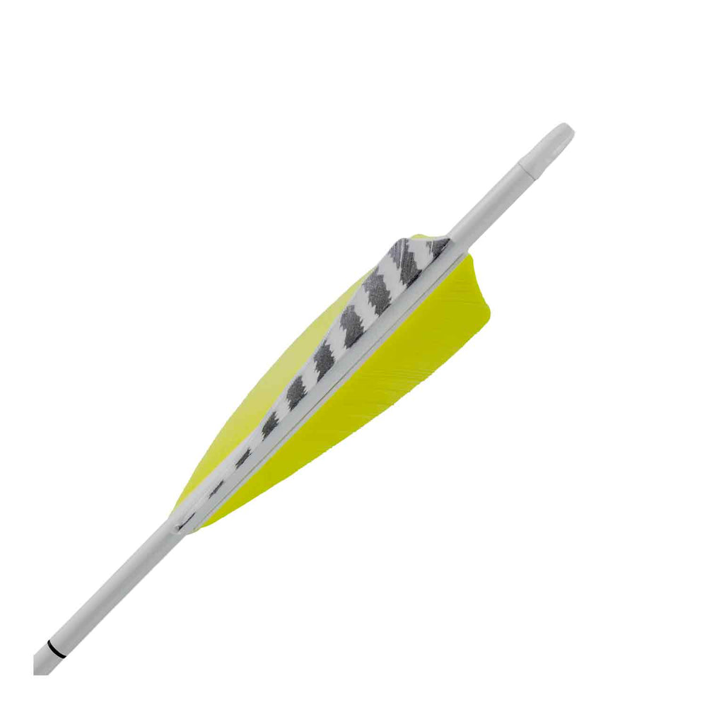 Easton 5mm Fred Eichler Edition Carbon Legacy Fletched Arrows