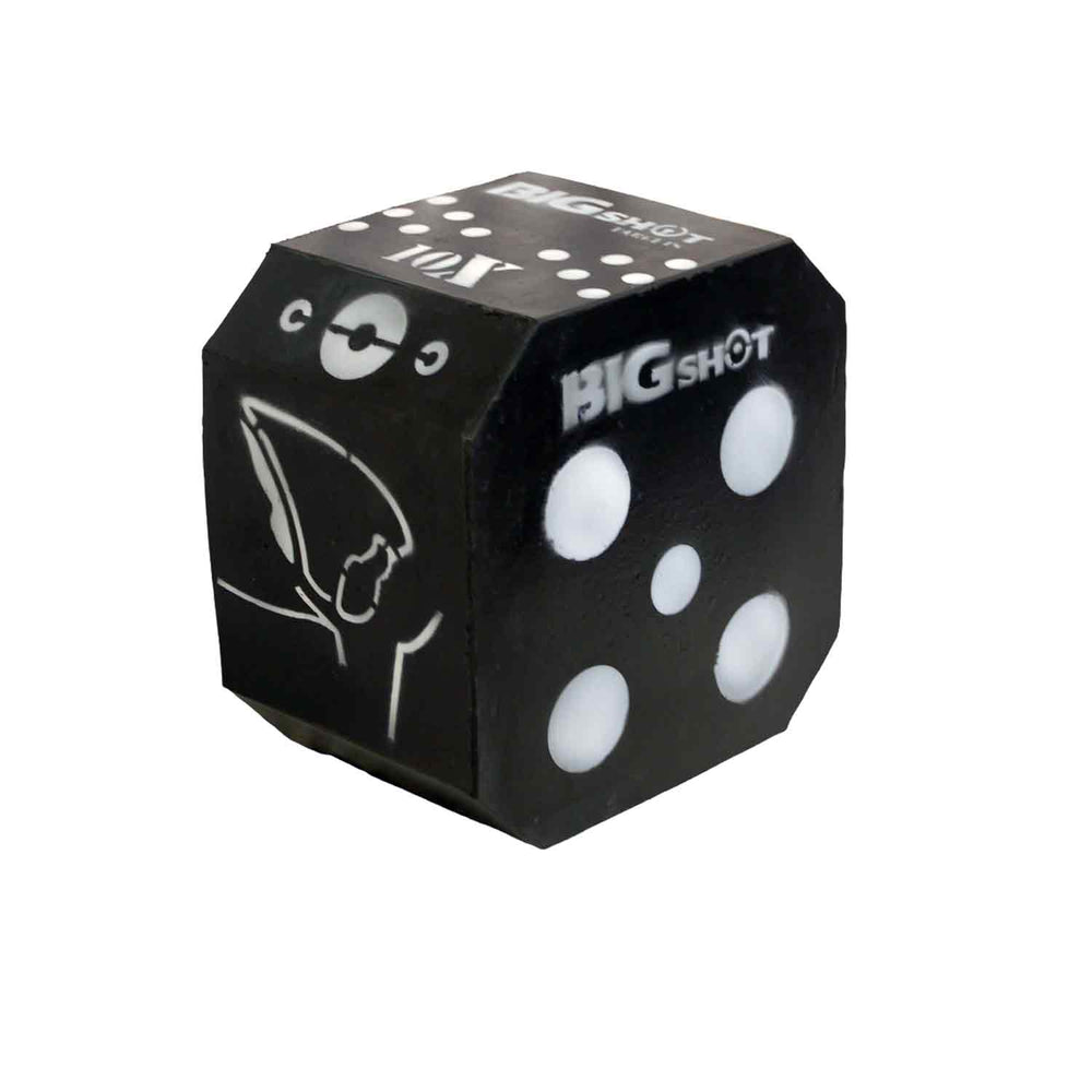 BIGshot Titan 10XS Broadhead Target