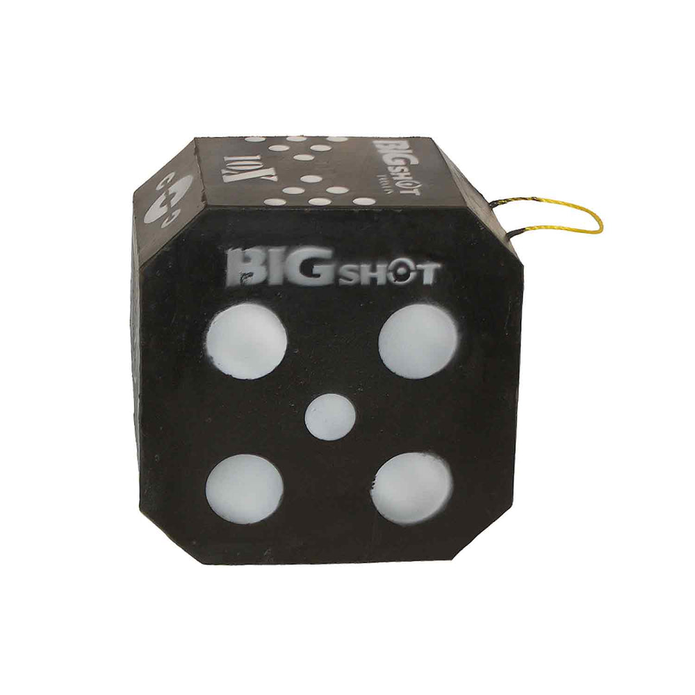 BIGshot Titan 10XS Broadhead Target