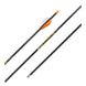 Victory RIP Elite Fletched Arrows (6 Pack)
