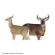 Montana Decoy Dream Team Deer Combo Decoy Set