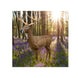 Rinehart Big Jim 3D Deer Target