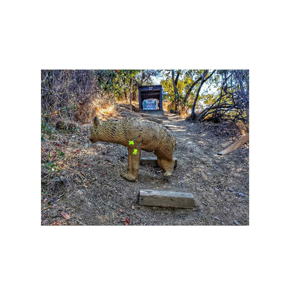 Rinehart Signature Coyote 3D Target