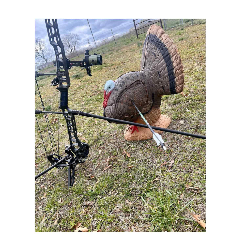 Rinehart Signature Strutting 3D Target