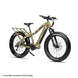 QuietKat Apex Sport Electric Bike (Angle Earth)