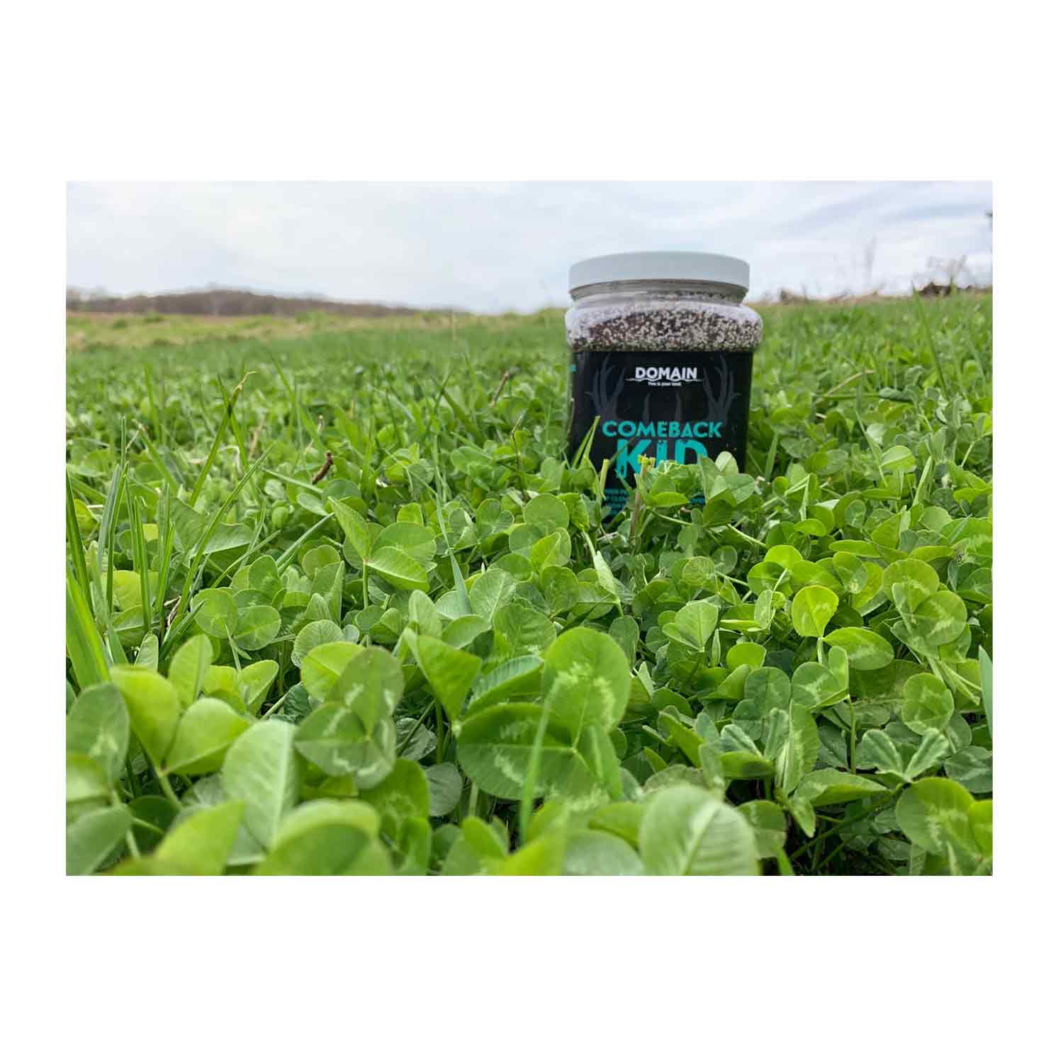 Domain Comback Kid Food Plot Seed