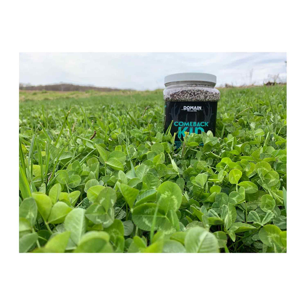 Domain Comback Kid Food Plot Seed