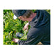 Domain Hot Chic Food Plot Seed