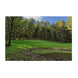 Domain Hot Chic Food Plot Seed