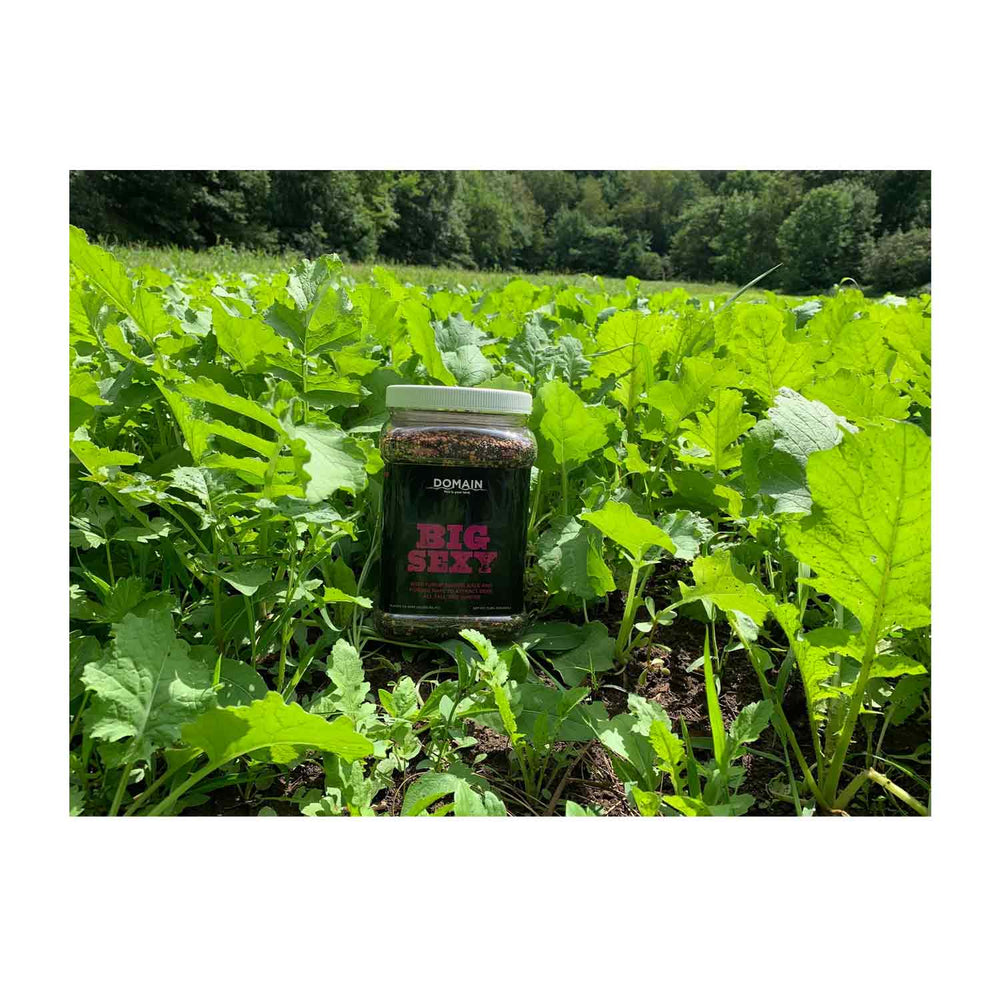Domain Big Sexy Food Plot Seed 1/2 Acre