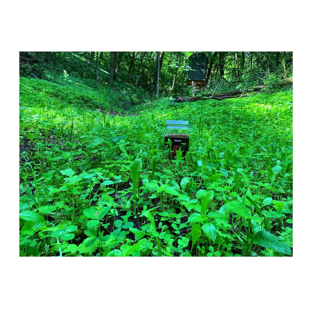Domain NO BS Food Plot Seed
