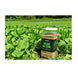 Domain Green Machine Food Plot Seed 1/4 Acre