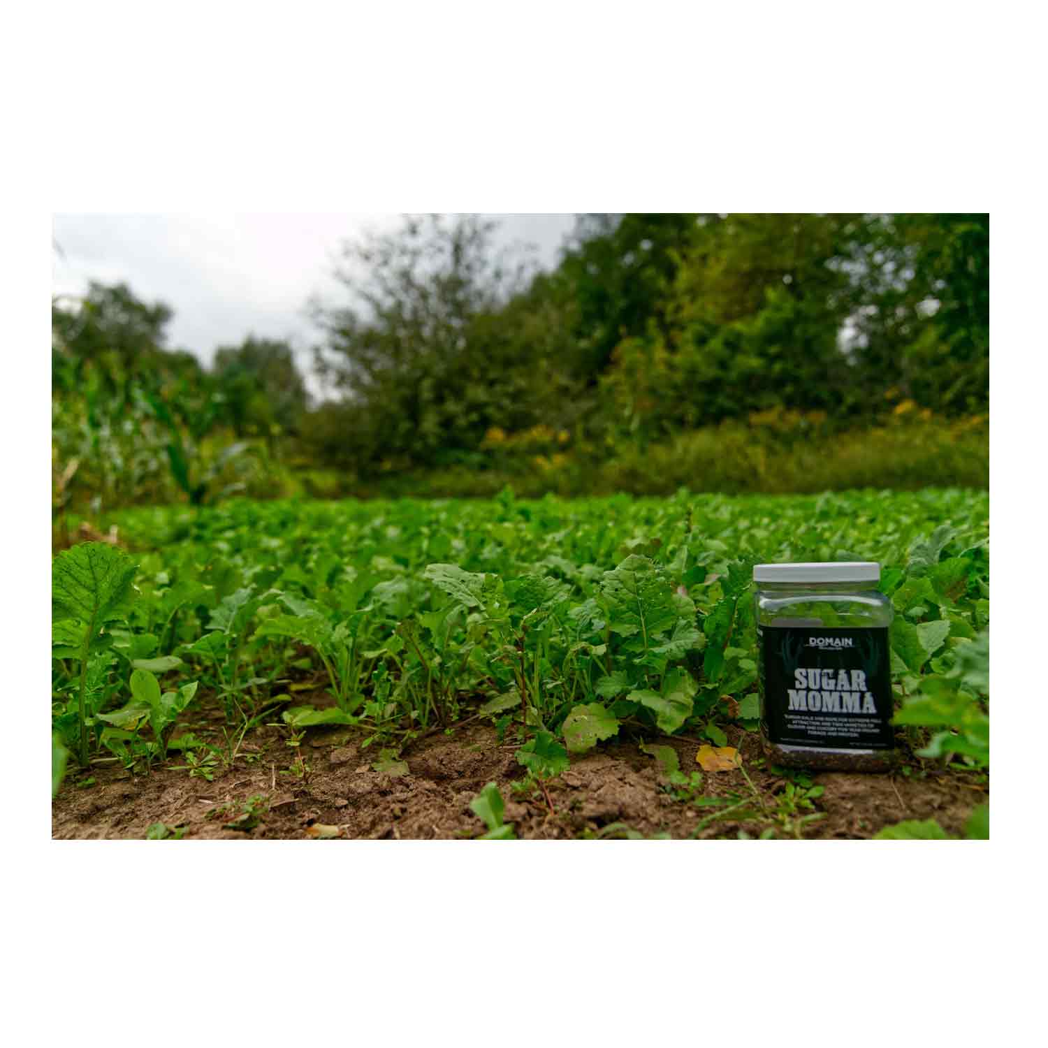 Domain Sugar Mamma Food Plot Seed