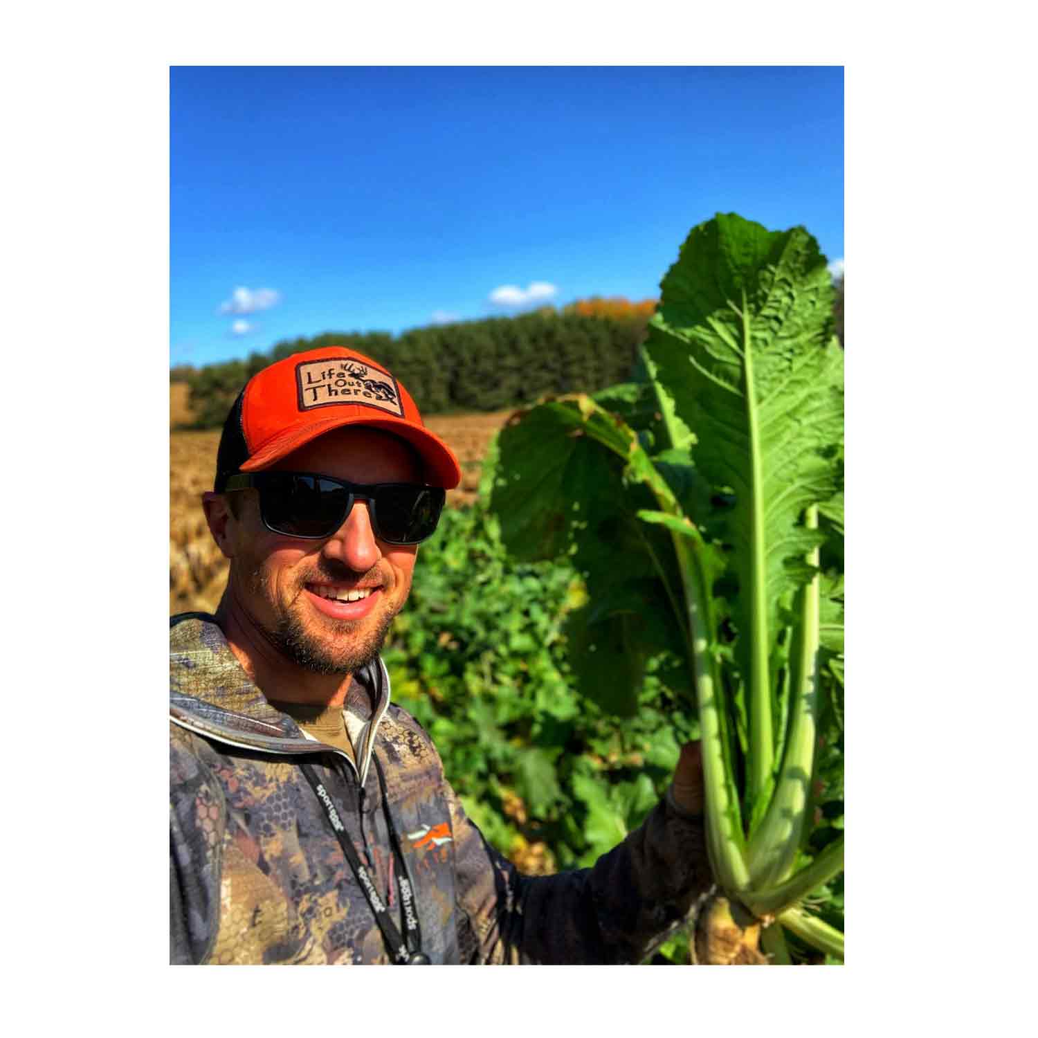 Domain Bomb Shell Food Plot Seed