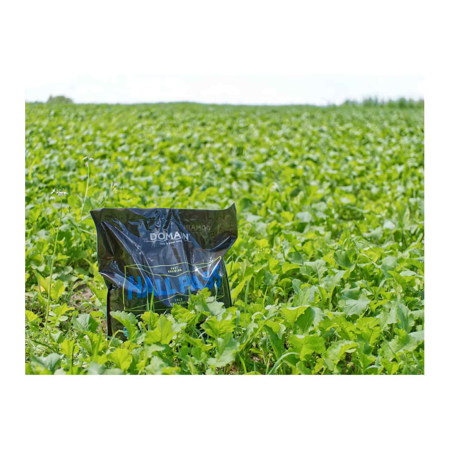 Domain Hall Pass Food Plot Seed
