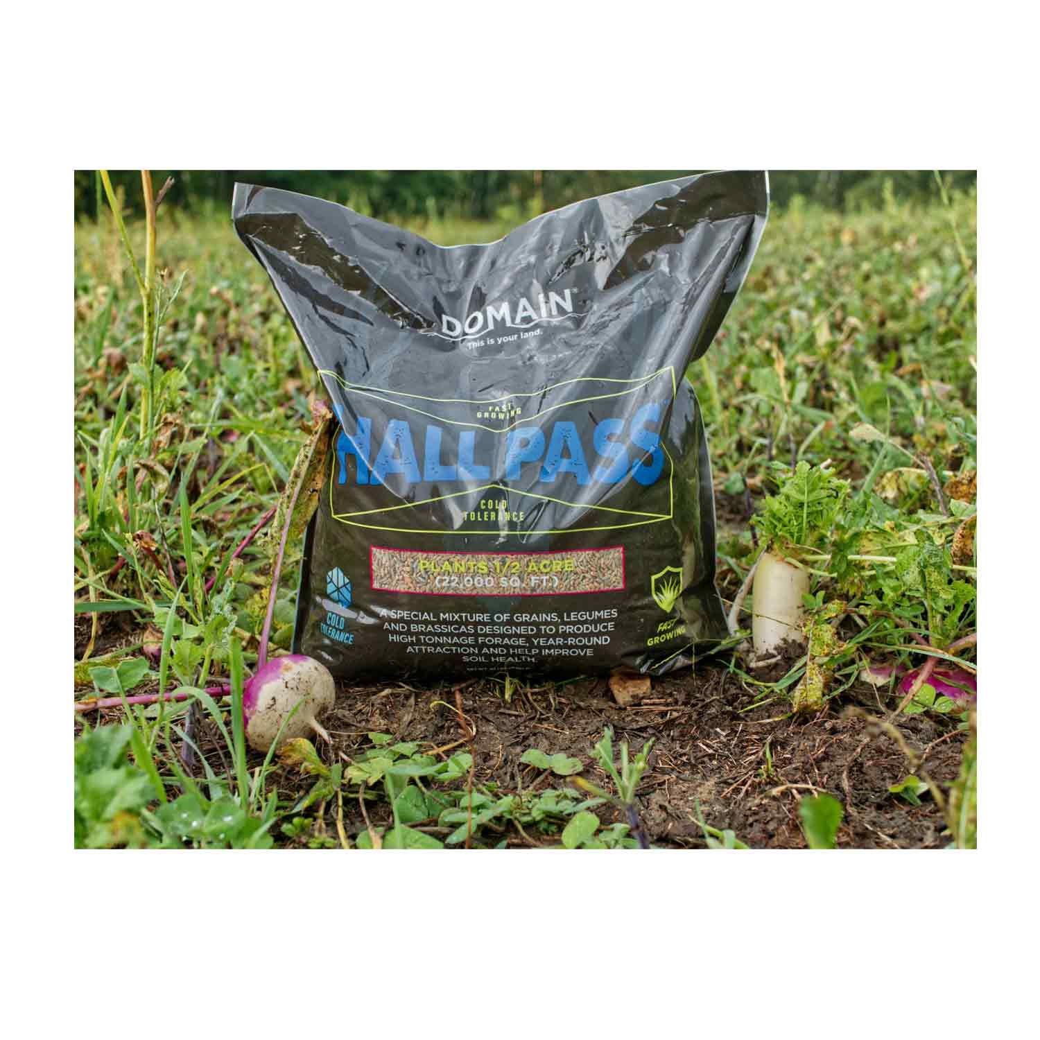 Domain Hall Pass Food Plot Seed