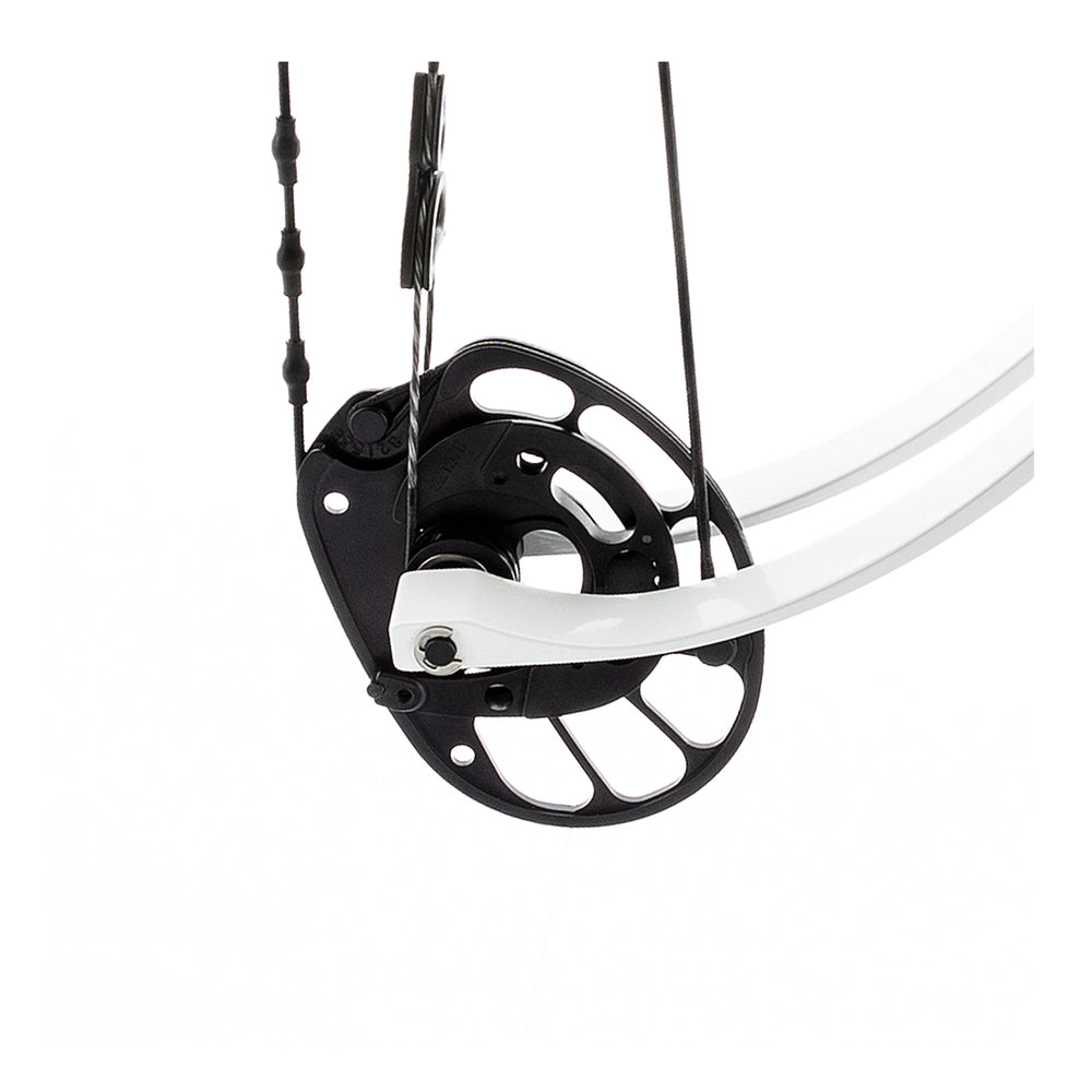 PSE Lazer Compound Target Bow