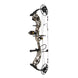 Bear Paradigm RTH Compound Hunting Bow