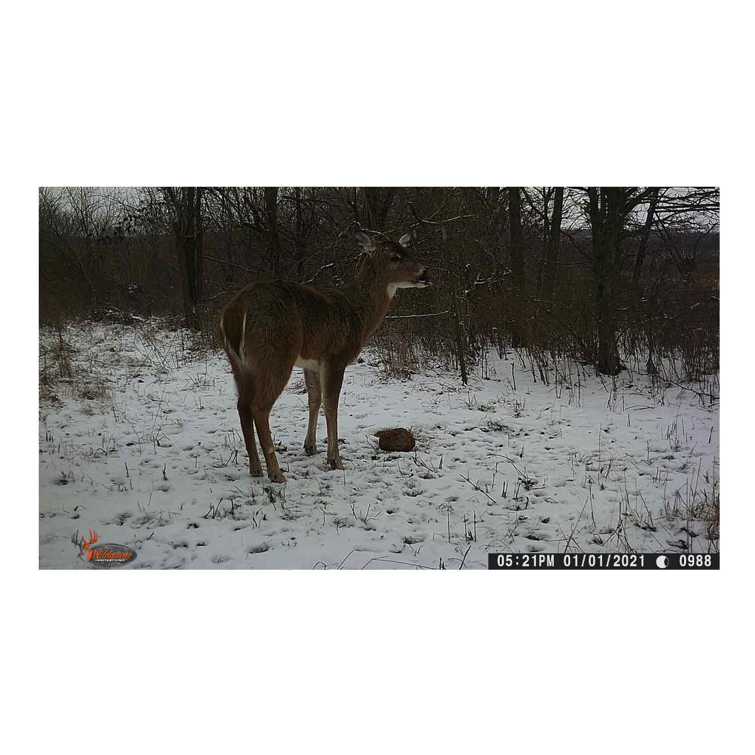 Wildgame Wraith 18 Game Camera