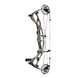 Hoyt Carbon RX-8 Compound Hunting Bow