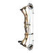 Hoyt Carbon RX-8 Ultra Compound Hunting Bow