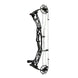 Hoyt Alpha X 33 Compound Hunting Bow