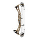 Hoyt Alpha X 33 Compound Hunting Bow