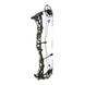 Darton Consequence Compound Hunting Bow