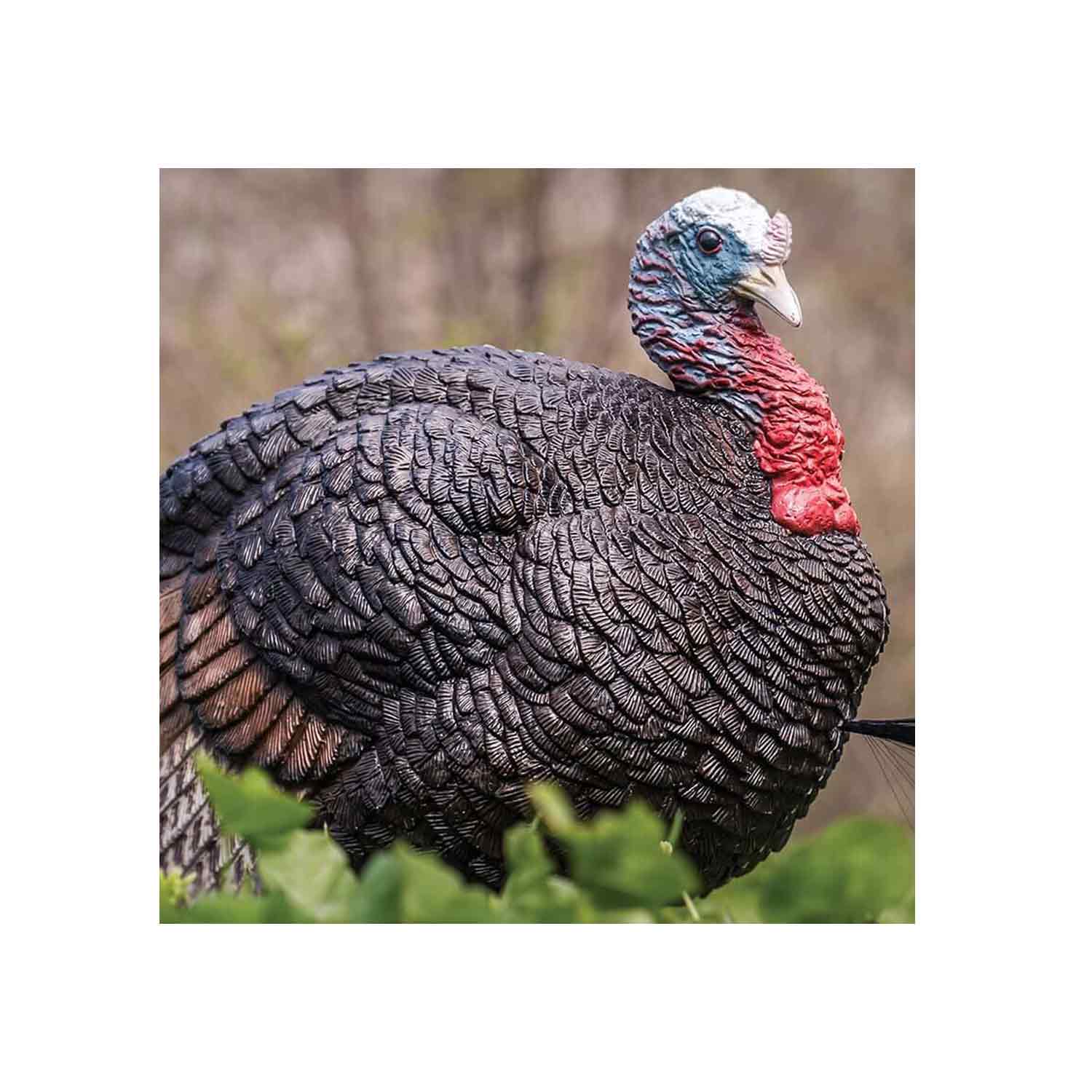 Primos Lil Gobstopper Jake Turkey Decoy