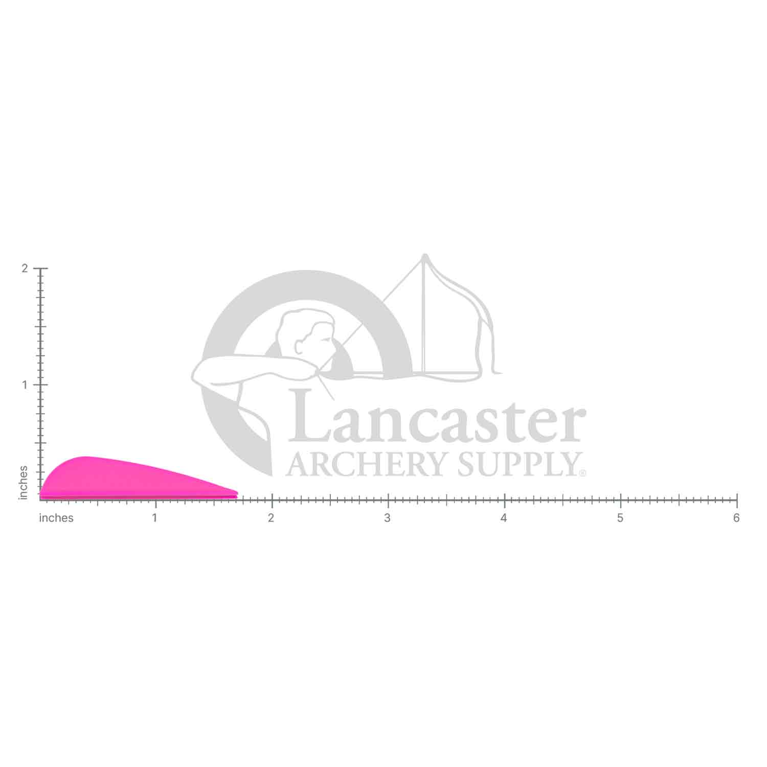 AAE Elite Plastifletch 16 Vanes (50-pk)
