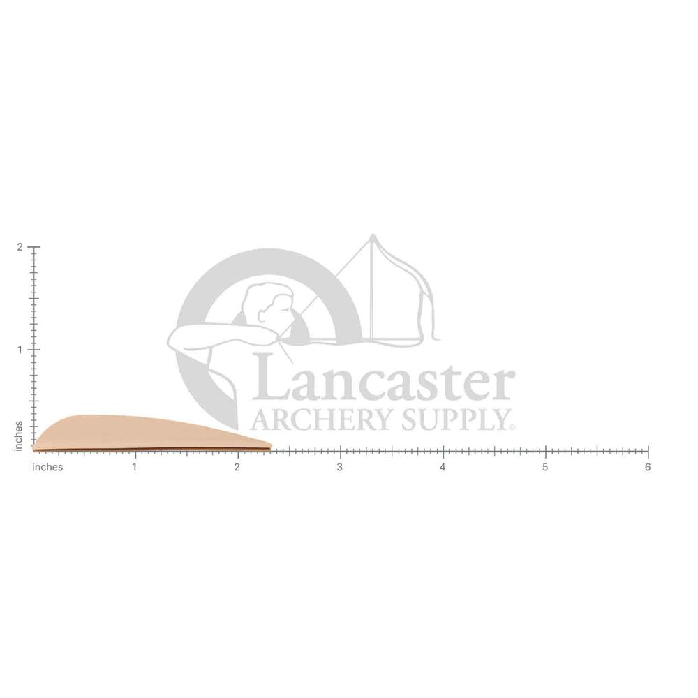 AAE Elite Plastifletch 23 Vanes (50-pk)