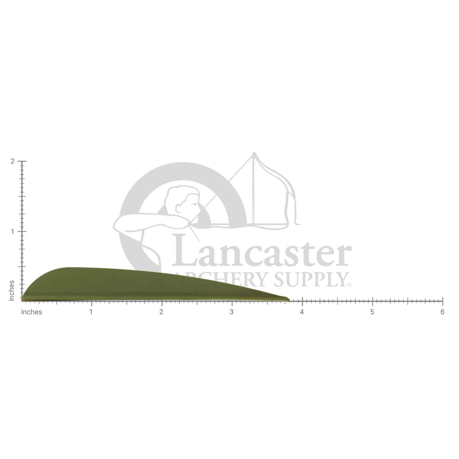 AAE Elite Plastifletch 40 Vanes (50-pk)