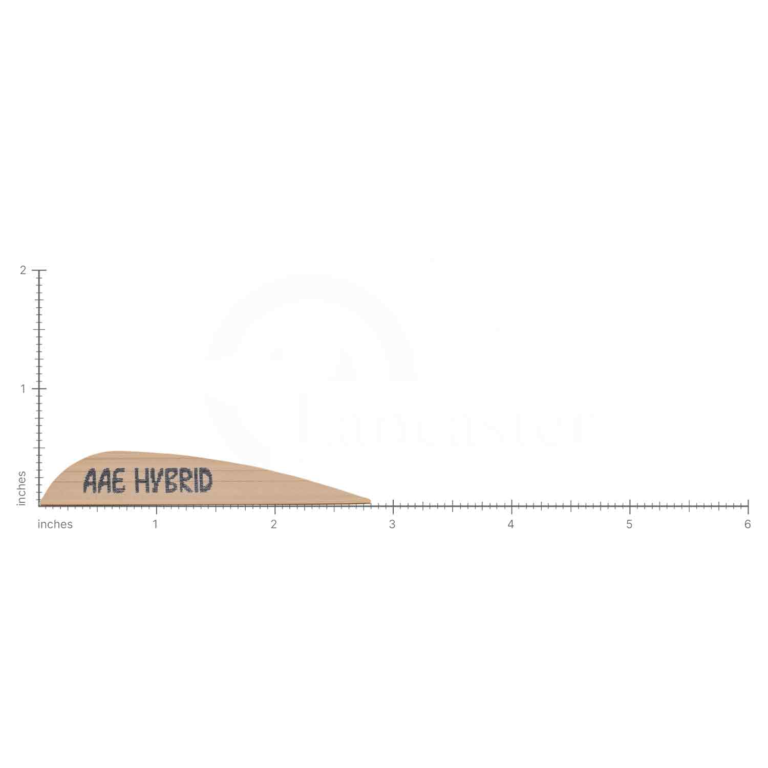 AAE Hybrid 26 Vanes (50-pk)