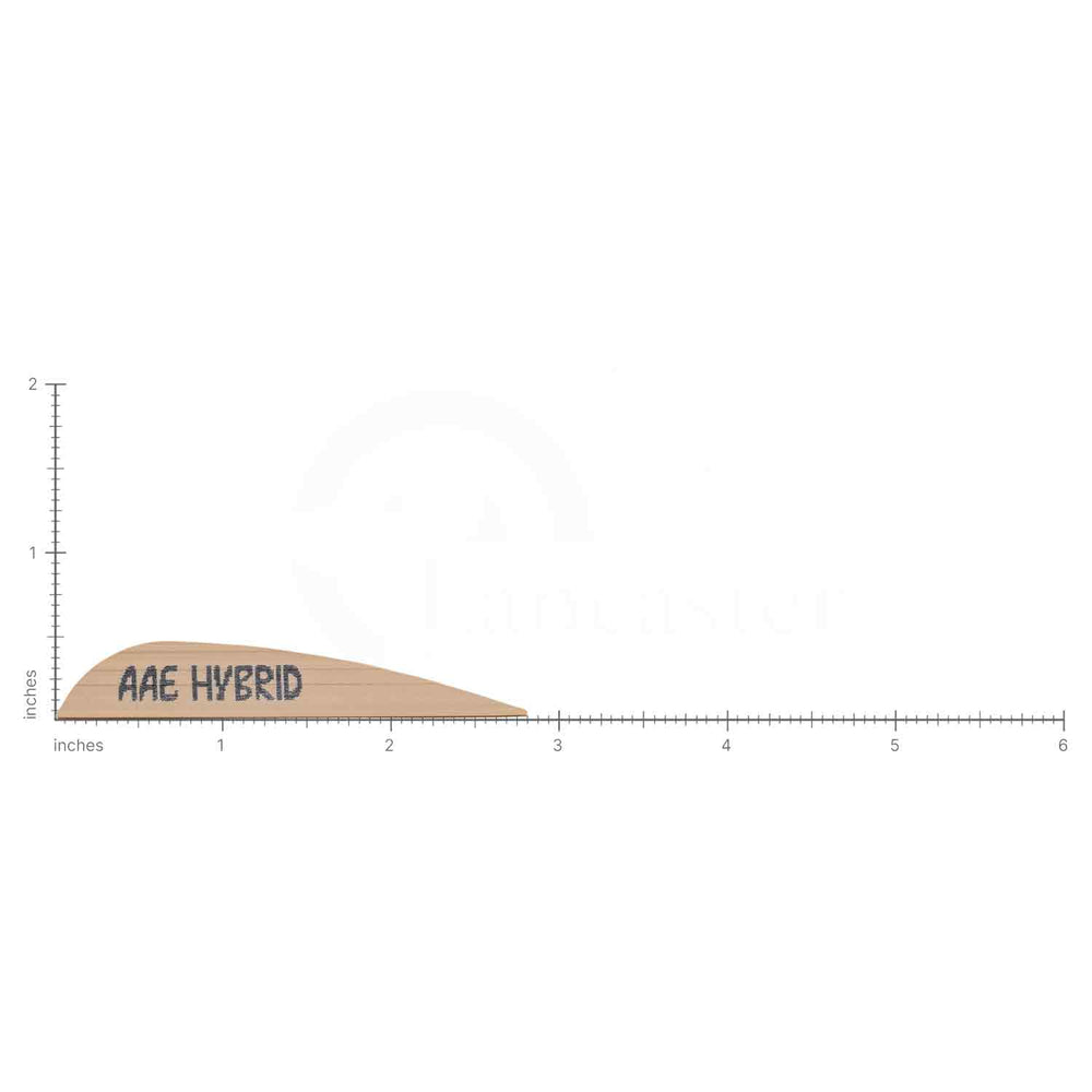 AAE Hybrid 26 Vanes (50-pk)