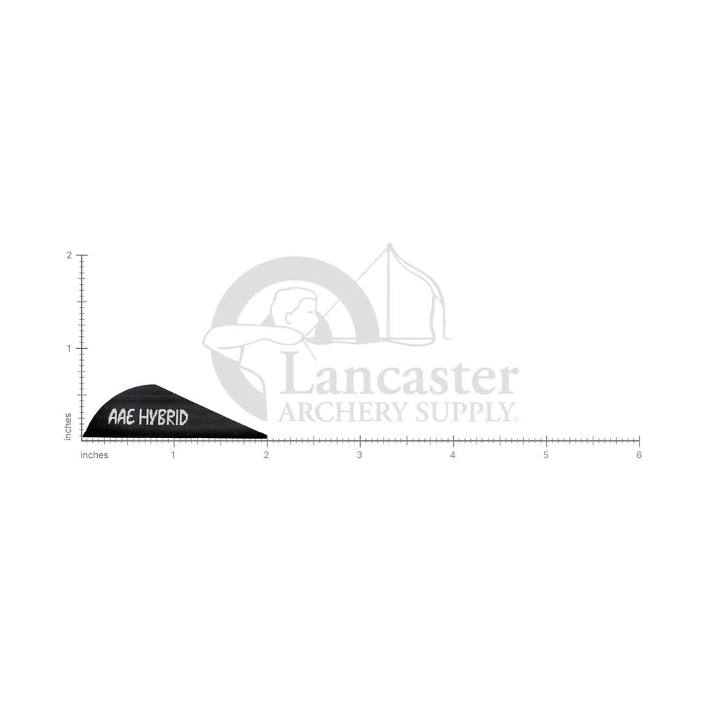 Archery vane with AAE Hybrid label on a white background, featuring Lancaster Archery Supply branding and scale for length measuring 2 inches.