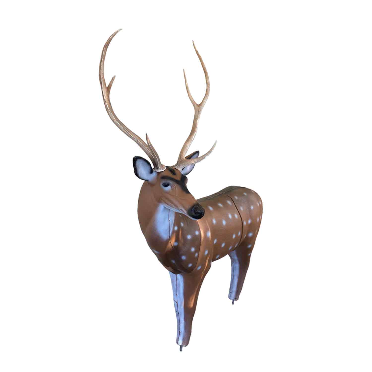RealWild Axis Deer Competition 3D Target