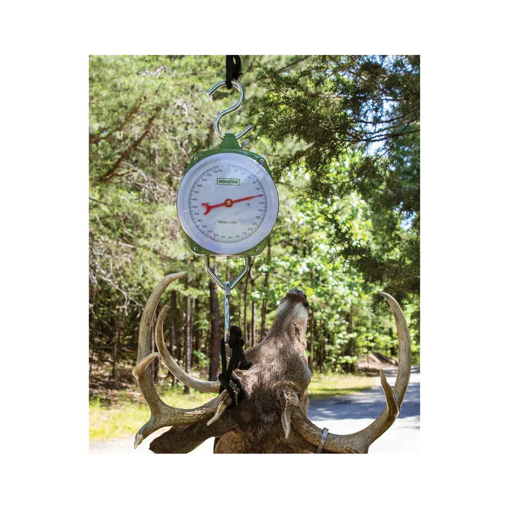 Moultrie 550lb Big Game Scale